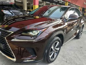 Xe Lexus NX 300 2019