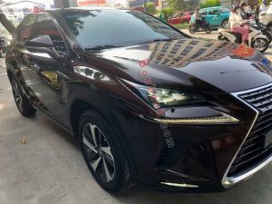 Xe Lexus NX 300 2019